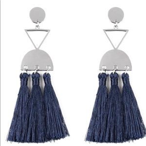 Paparazzi Tassel Earrings